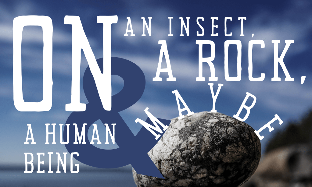 On an Insect, a Rock, and Maybe a Human&nbsp;Being